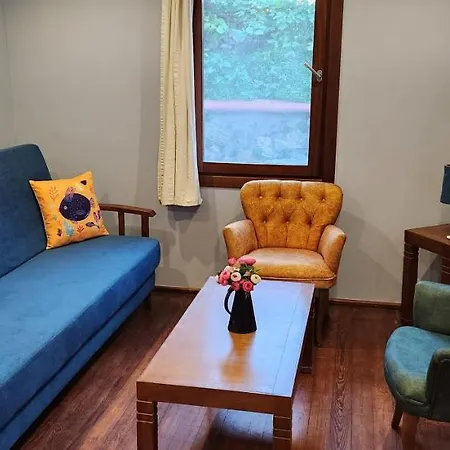 Stone House 4* بودروم