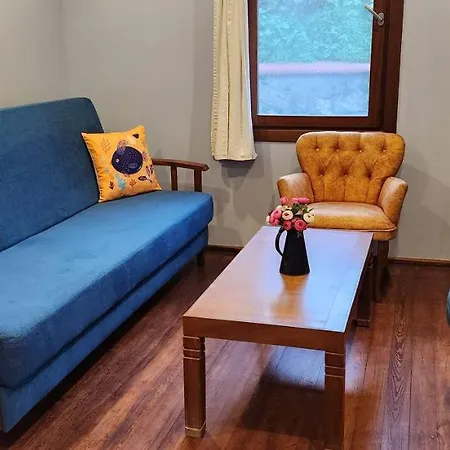 شقة فندقية Stone House بودروم