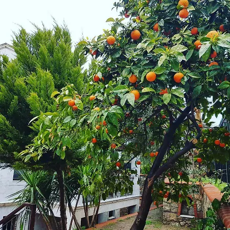 Stone House شقة فندقية