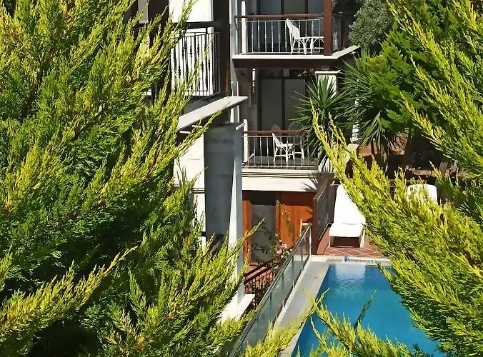 Villa Bodrum Stone House *