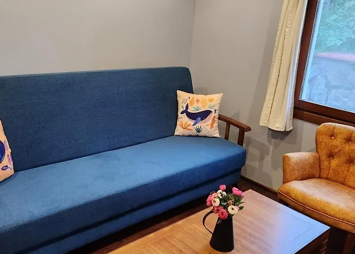 Bodrum Stone House Villa