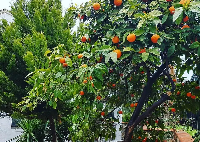 Bodrum Stone House Villa