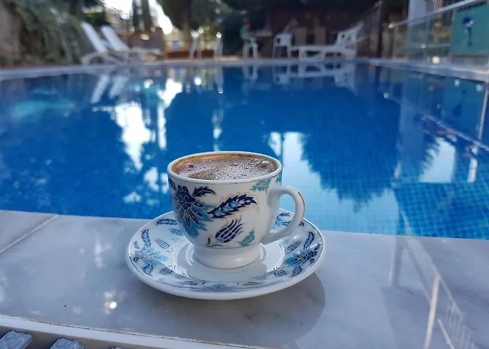 Vila Bodrum Stone House
