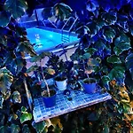 Bodrum Stone House * Bodrum