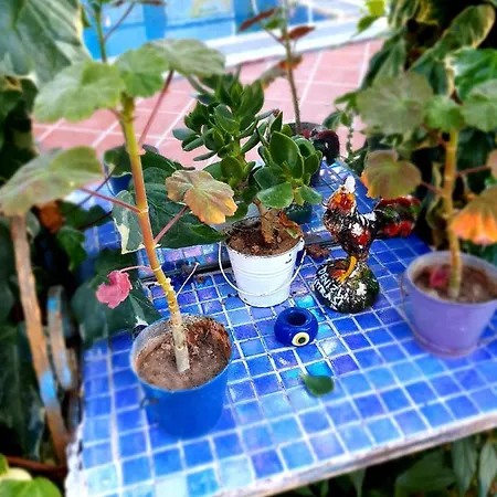 Stone House 4* Bodrum