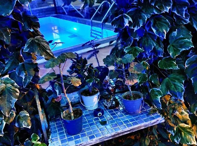 Bodrum Stone House * Bodrum